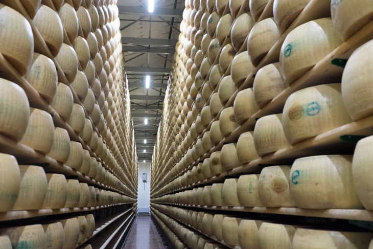Rows of large cheese wheels aging on wooden shelves in a warehouse.